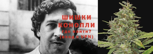 соль ск Алзамай