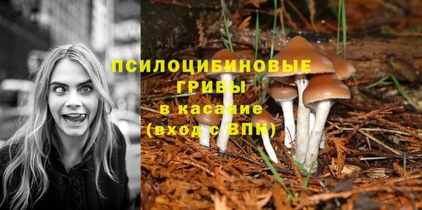 соль ск Алзамай