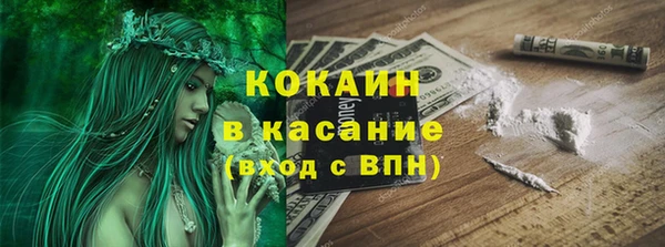 соль ск Алзамай