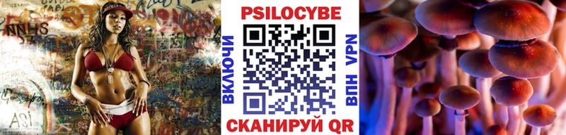 Галлюциногенные грибы MAGIC MUSHROOMS  Купить где  Богородицк 